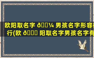 欧阳取名字 🌼 男孩名字形容德行(欧 🐘 阳取名字男孩名字有意义的)